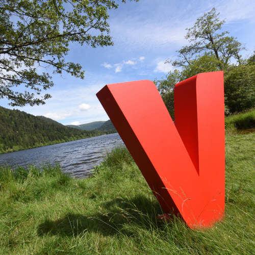 Image marque vosgienne territoire
