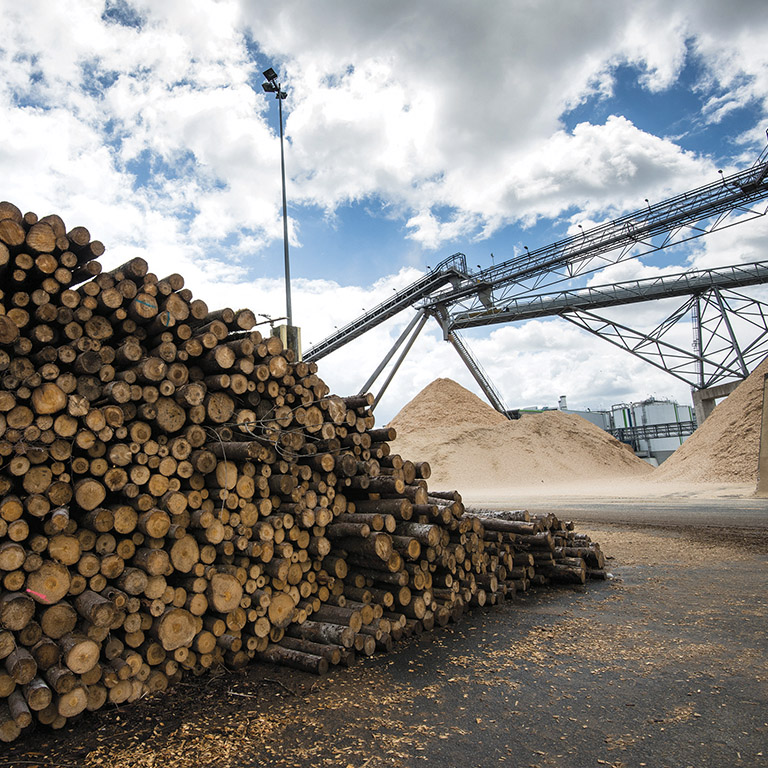 Economie : Norske Skog